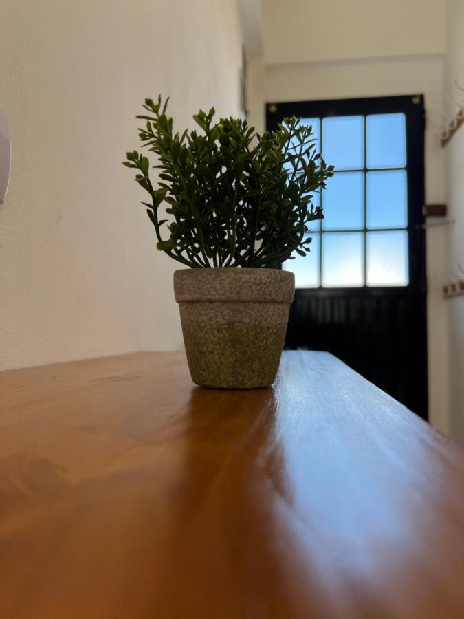 Tiny Houses -Refugio- A 7 Minutos Del Centro En Auto อูซัวยา ภายนอก รูปภาพ